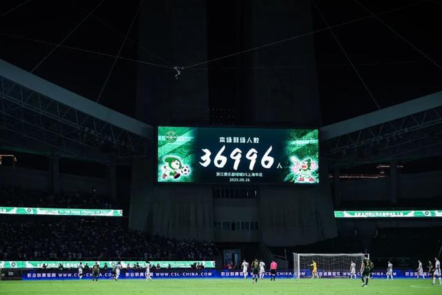 开云入口-浙江队总经理焦凤波：提升造血功能，促进健康生态