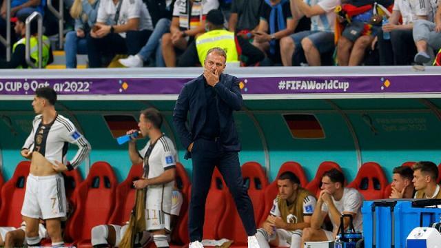 1670499897589014200.jpg 1670499897589014200.jpg